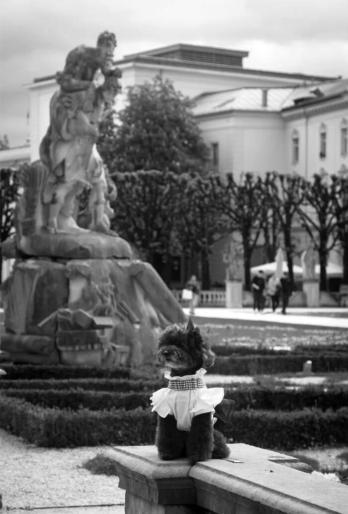 40 Street Photos That Totally Surprise You Around Every Corner
