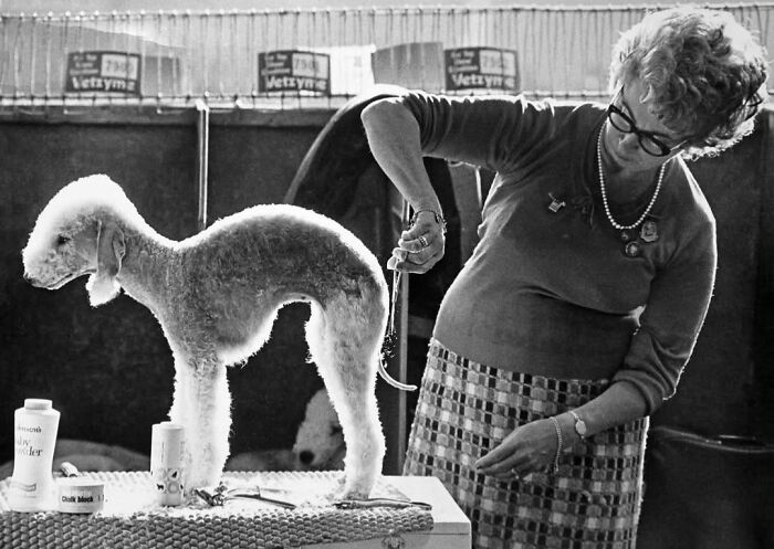 40 Street Photos That Totally Surprise You Around Every Corner