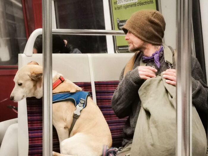 40 Street Photos That Totally Surprise You Around Every Corner