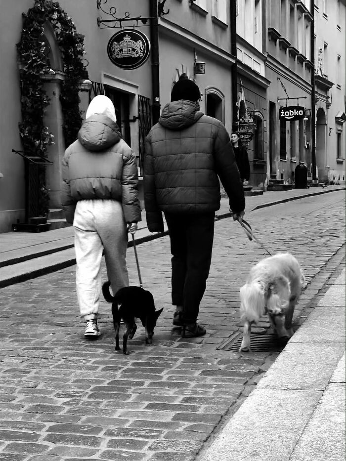 40 Street Photos That Totally Surprise You Around Every Corner