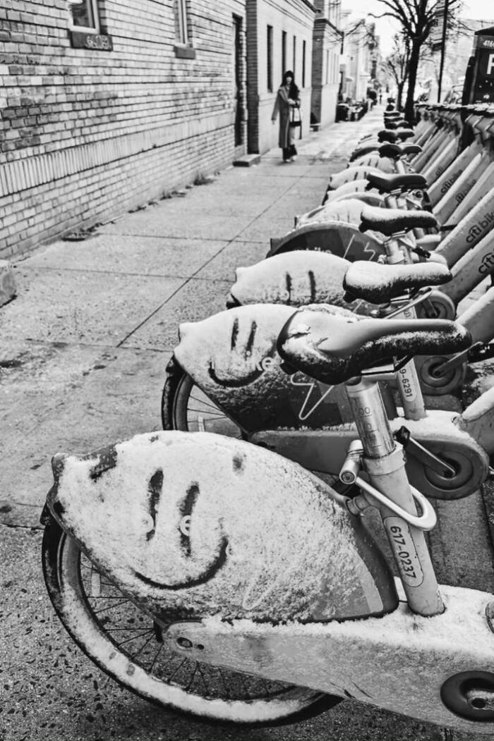 40 Street Photos That Totally Surprise You Around Every Corner