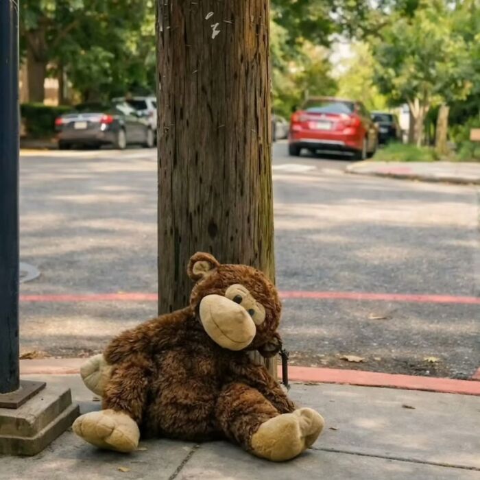 40 Street Photos That Totally Surprise You Around Every Corner