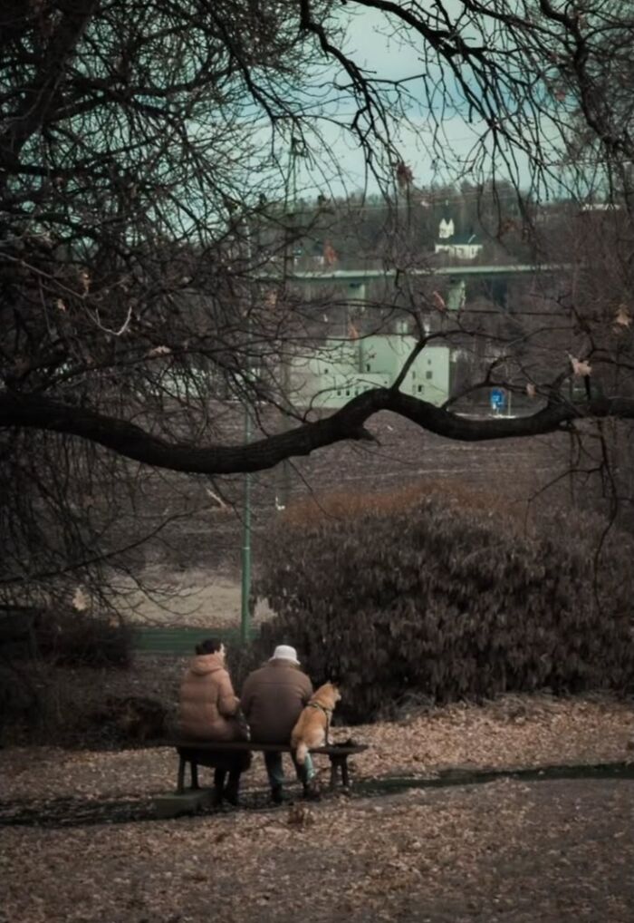 40 Street Photos That Totally Surprise You Around Every Corner