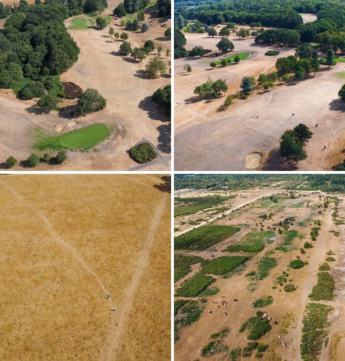 Bird’s Eye Shot Shows How Bad Drought Is in West Berkshire