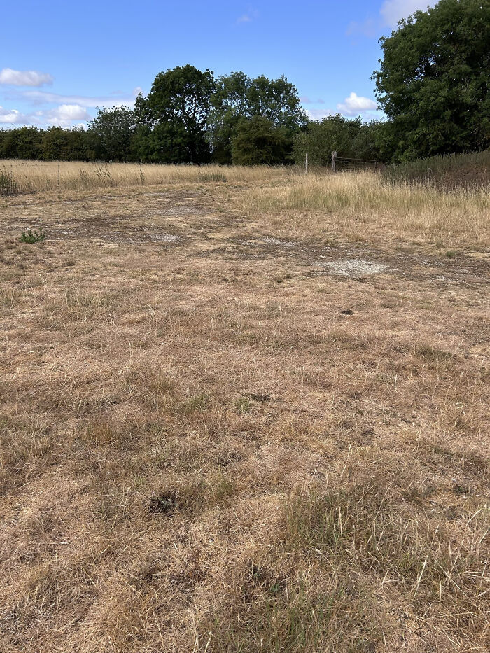 England’s Not Officially in Drought, But You’d Never Guess It