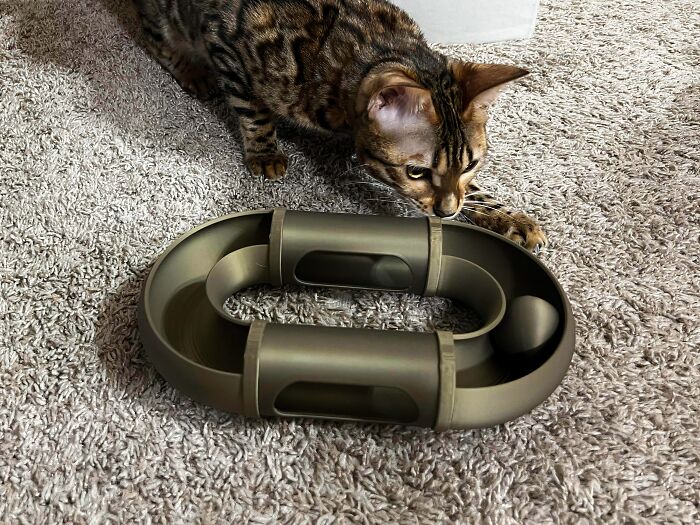 Cat Lover Alert! Check Out This Awesome Modular Cat Toy