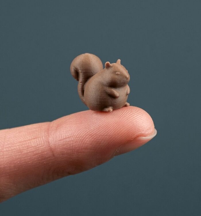 A Fat Squirrel—Because Why Not?