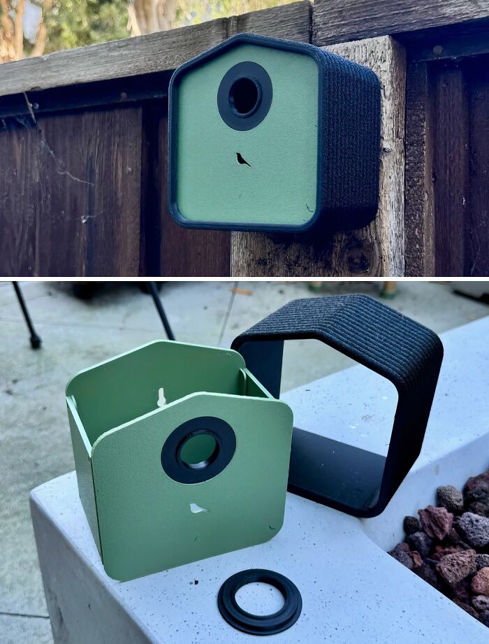 Wait, People Actually 3D Printed These Wild Creations?!