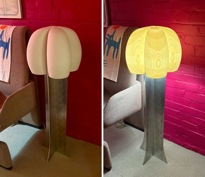 Wait, People Actually 3D Printed These Wild Creations?!