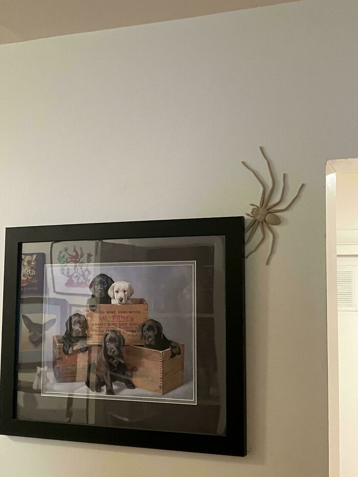 Wait, People Actually 3D Printed These Wild Creations?!