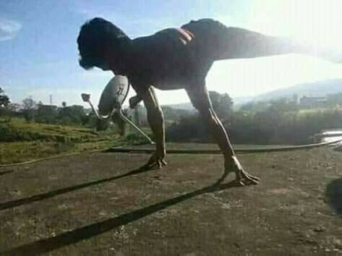 Wait, That’s Not a T-Rex… Or Is It?