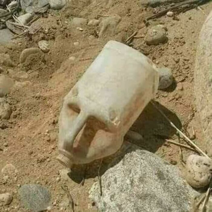 Cleopatra’s Head? Not Quite!