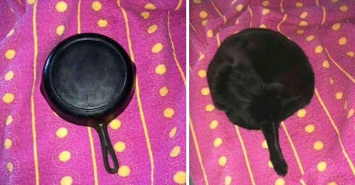 My Pan Left a Mark... Or a Modern Art Piece?