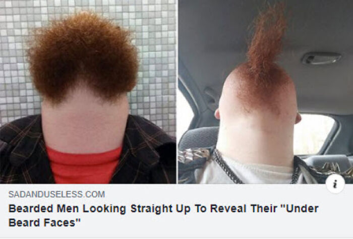 Wait, They Actually Ranked These Wild Optical Illusions?!