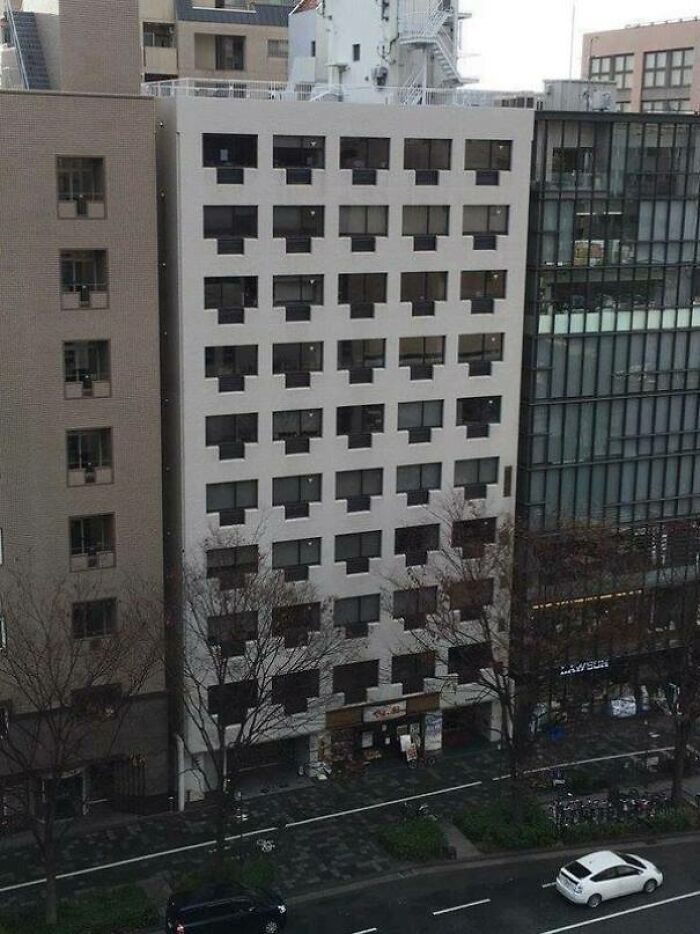 Wait, They Actually Ranked These Wild Optical Illusions?!