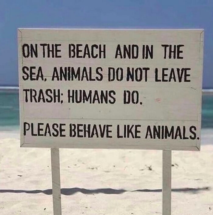 Pretty Please Keep It Clean!