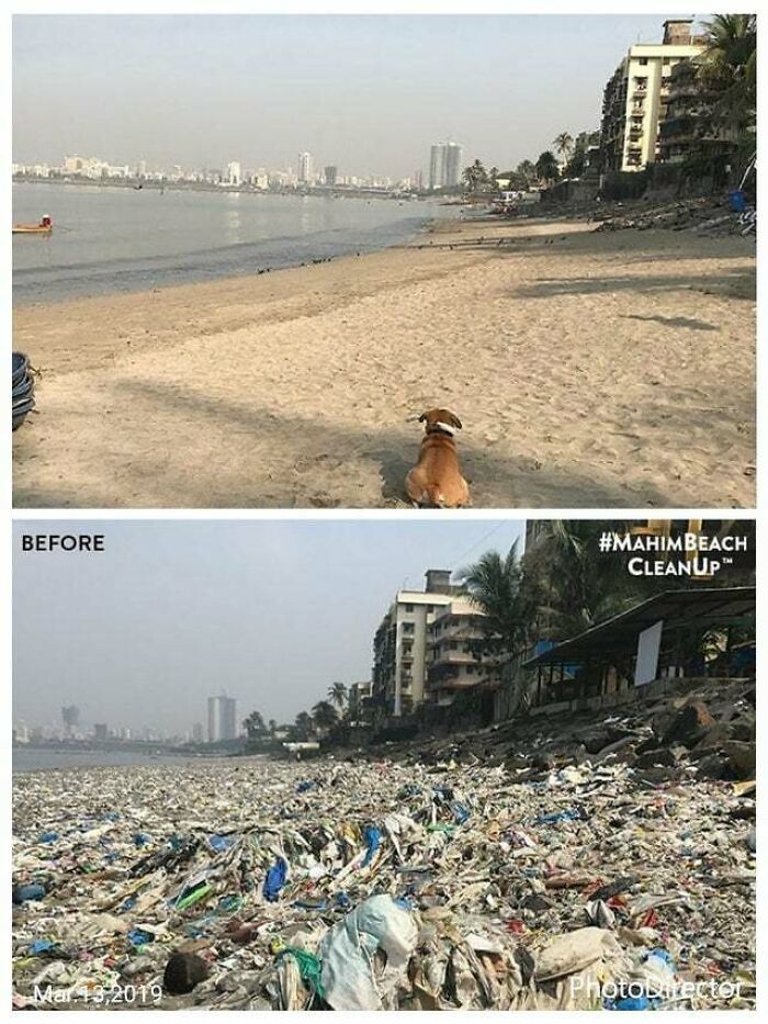 From Trash Chaos To Clean Beauty: What A Transformation!