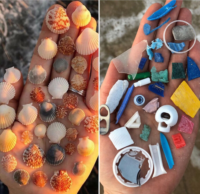 These 80 Clean-Up Pics Are Weirdly Satisfying (And Kinda Sad, Too)