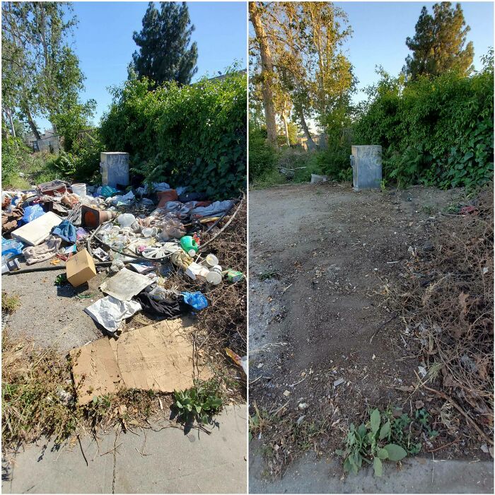 These 80 Clean-Up Pics Are Weirdly Satisfying (And Kinda Sad, Too)