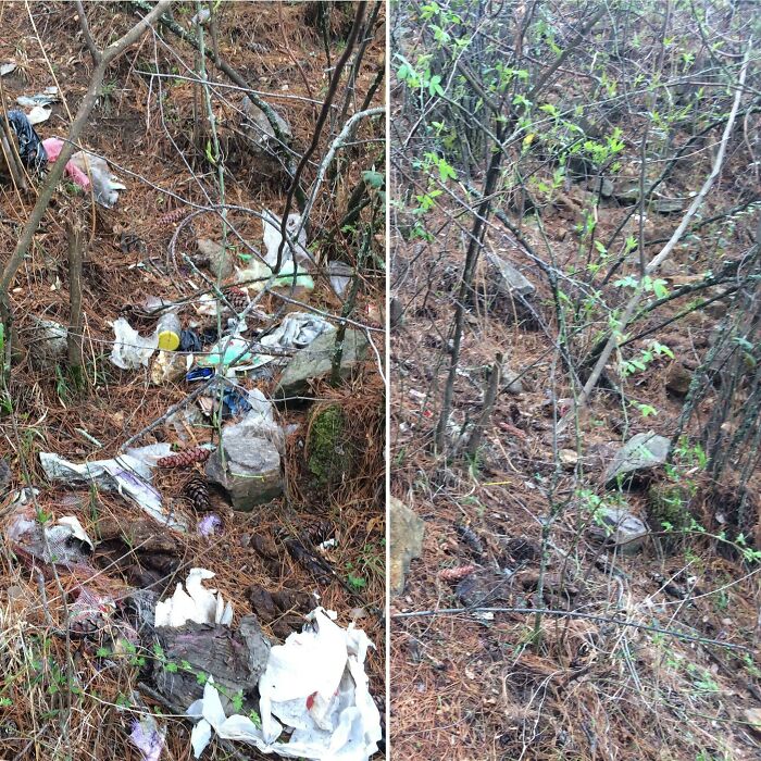 These 80 Clean-Up Pics Are Weirdly Satisfying (And Kinda Sad, Too)