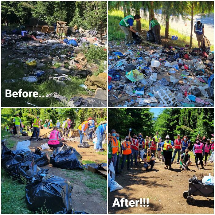 These 80 Clean-Up Pics Are Weirdly Satisfying (And Kinda Sad, Too)