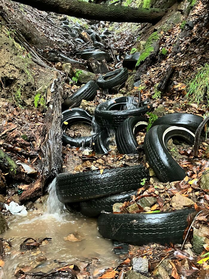 These 80 Clean-Up Pics Are Weirdly Satisfying (And Kinda Sad, Too)