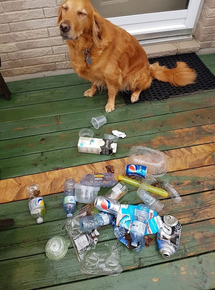 These 80 Clean-Up Pics Are Weirdly Satisfying (And Kinda Sad, Too)