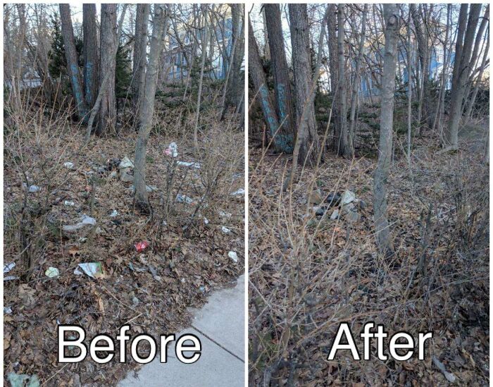These 80 Clean-Up Pics Are Weirdly Satisfying (And Kinda Sad, Too)