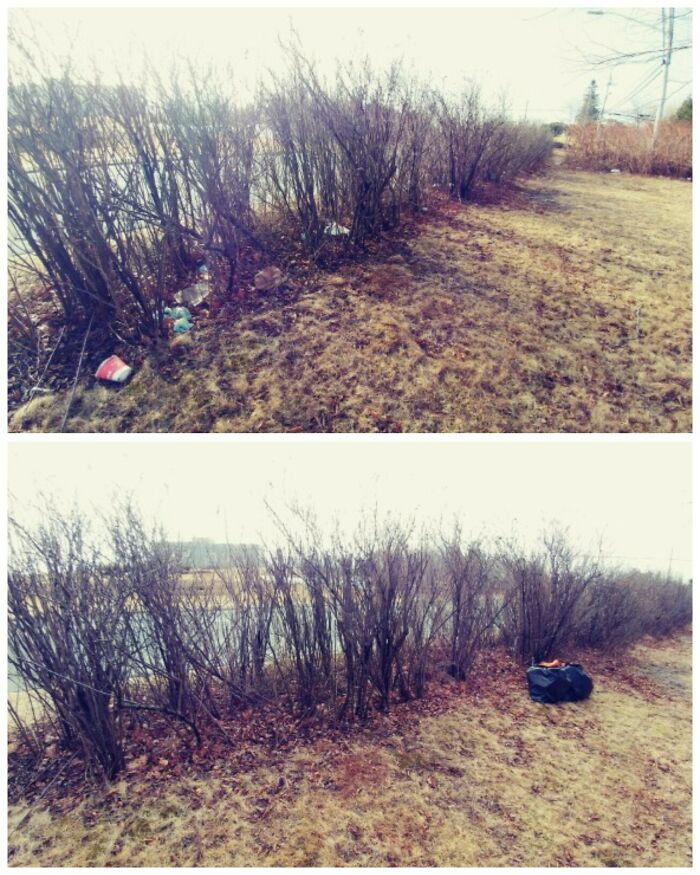 These 80 Clean-Up Pics Are Weirdly Satisfying (And Kinda Sad, Too)