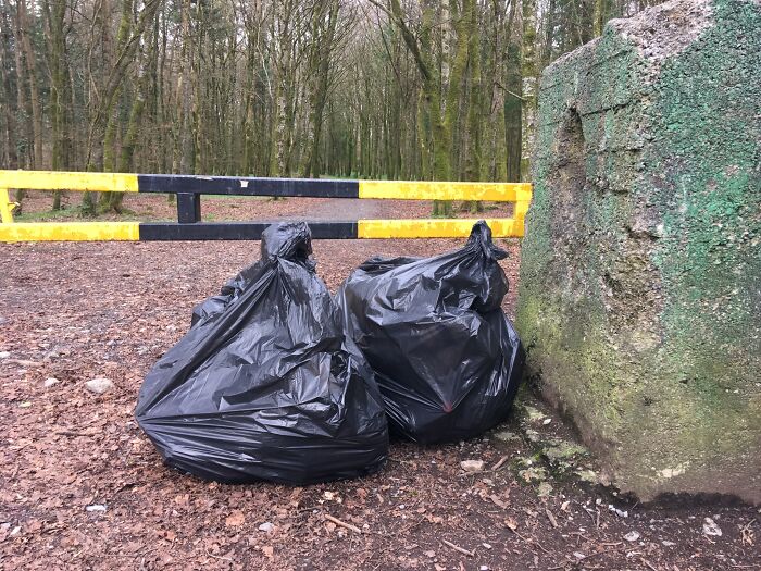 These 80 Clean-Up Pics Are Weirdly Satisfying (And Kinda Sad, Too)