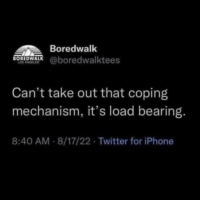 Wait, They Actually Ranked These Hilarious Serotonin Memes?