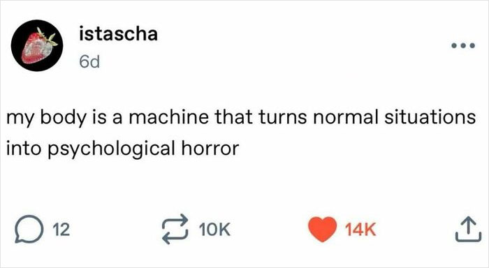Wait, They Actually Ranked These Hilarious Serotonin Memes?