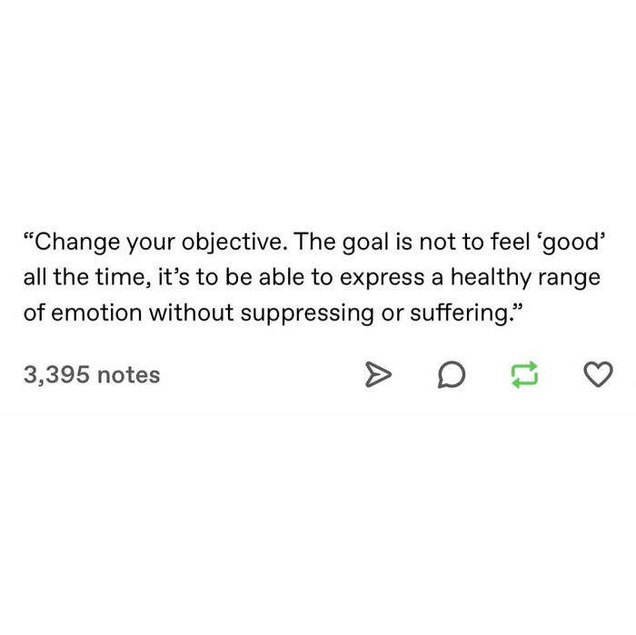 Wait, They Actually Ranked These Hilarious Serotonin Memes?