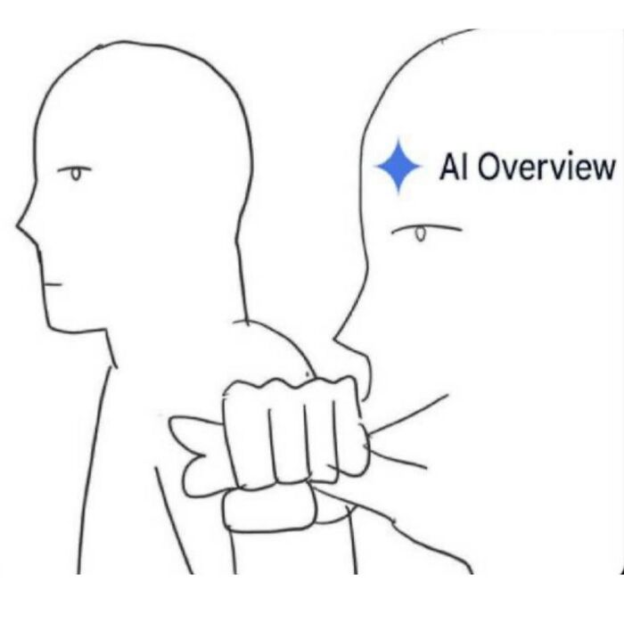 Wait, They Actually Ranked These Hilarious Serotonin Memes?