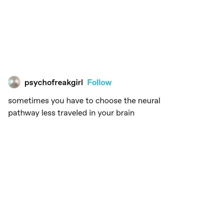 Wait, They Actually Ranked These Hilarious Serotonin Memes?