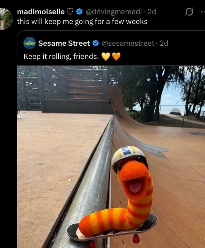 Wait, They Actually Ranked These Hilarious Serotonin Memes?