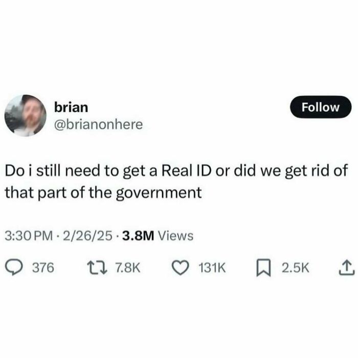 Wait, They Actually Ranked These Hilarious Serotonin Memes?
