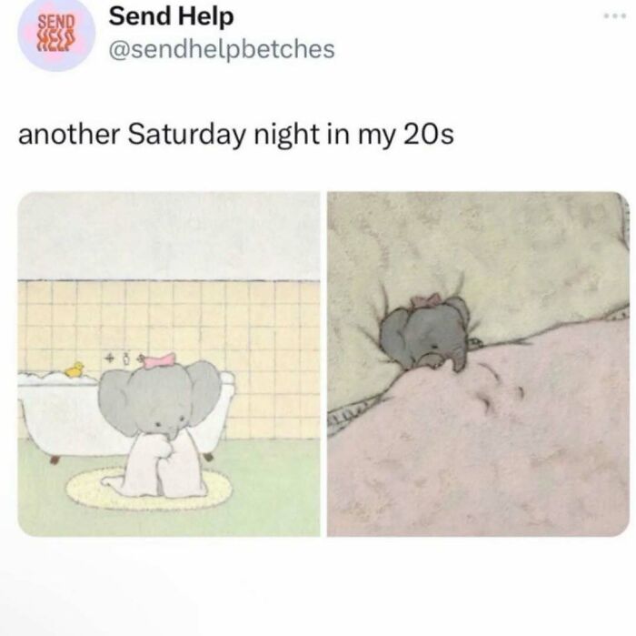 Wait, They Actually Ranked These Hilarious Serotonin Memes?