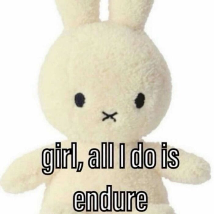 Wait, They Actually Ranked These Hilarious Serotonin Memes?