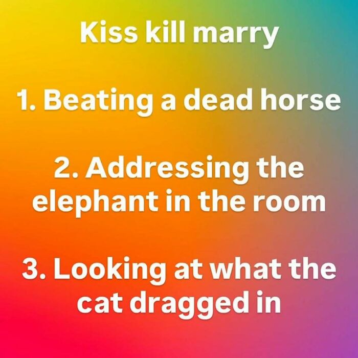 Wait, They Actually Ranked These Hilarious Serotonin Memes?
