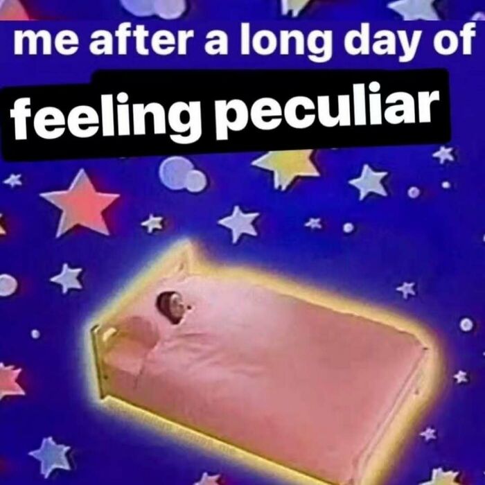 Wait, They Actually Ranked These Hilarious Serotonin Memes?