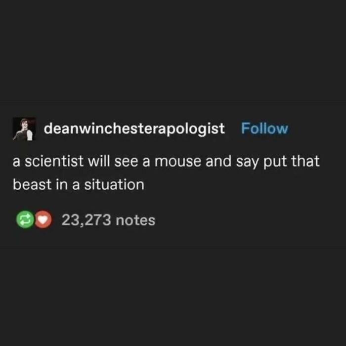 Wait, They Actually Ranked These Hilarious Serotonin Memes?