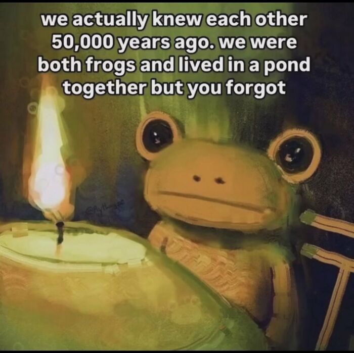 Wait, They Actually Ranked These Hilarious Serotonin Memes?