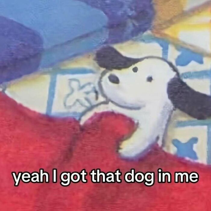 Wait, They Actually Ranked These Hilarious Serotonin Memes?