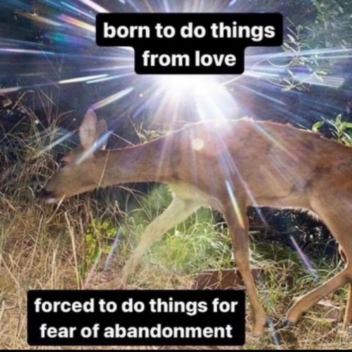 Wait, They Actually Ranked These Hilarious Serotonin Memes?