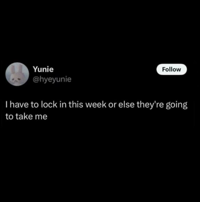 Wait, They Actually Ranked These Hilarious Serotonin Memes?