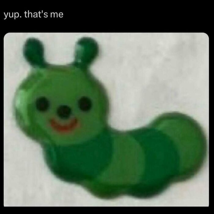 Wait, They Actually Ranked These Hilarious Serotonin Memes?