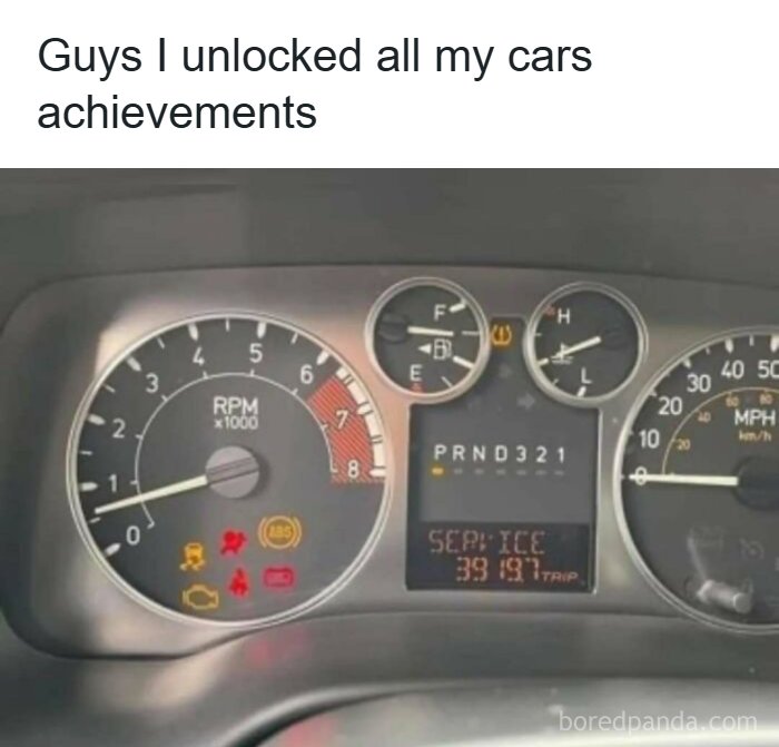 Buckle Up! These Hilarious Car Memes Will Totally Shift Your Mood