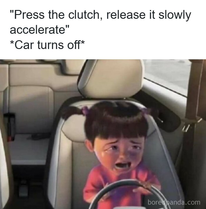 Buckle Up! These Hilarious Car Memes Will Totally Shift Your Mood