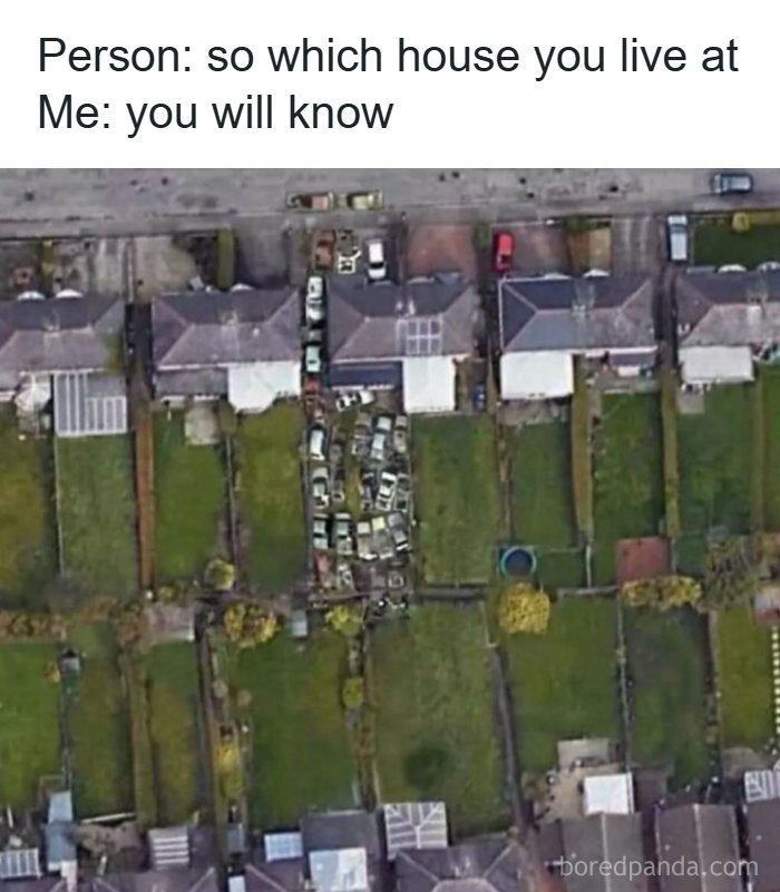 Buckle Up! These Hilarious Car Memes Will Totally Shift Your Mood